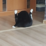 Фотография профиля