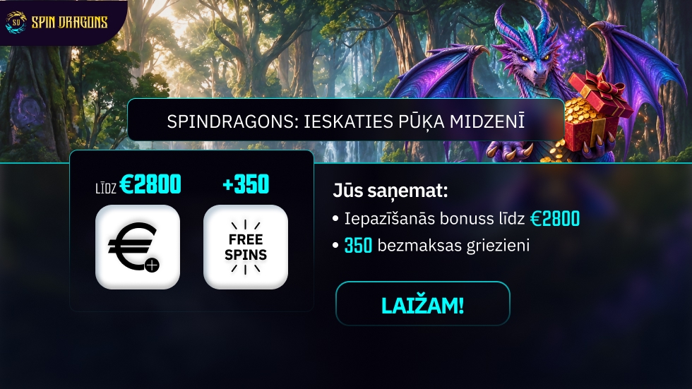 SPINDRAGONS